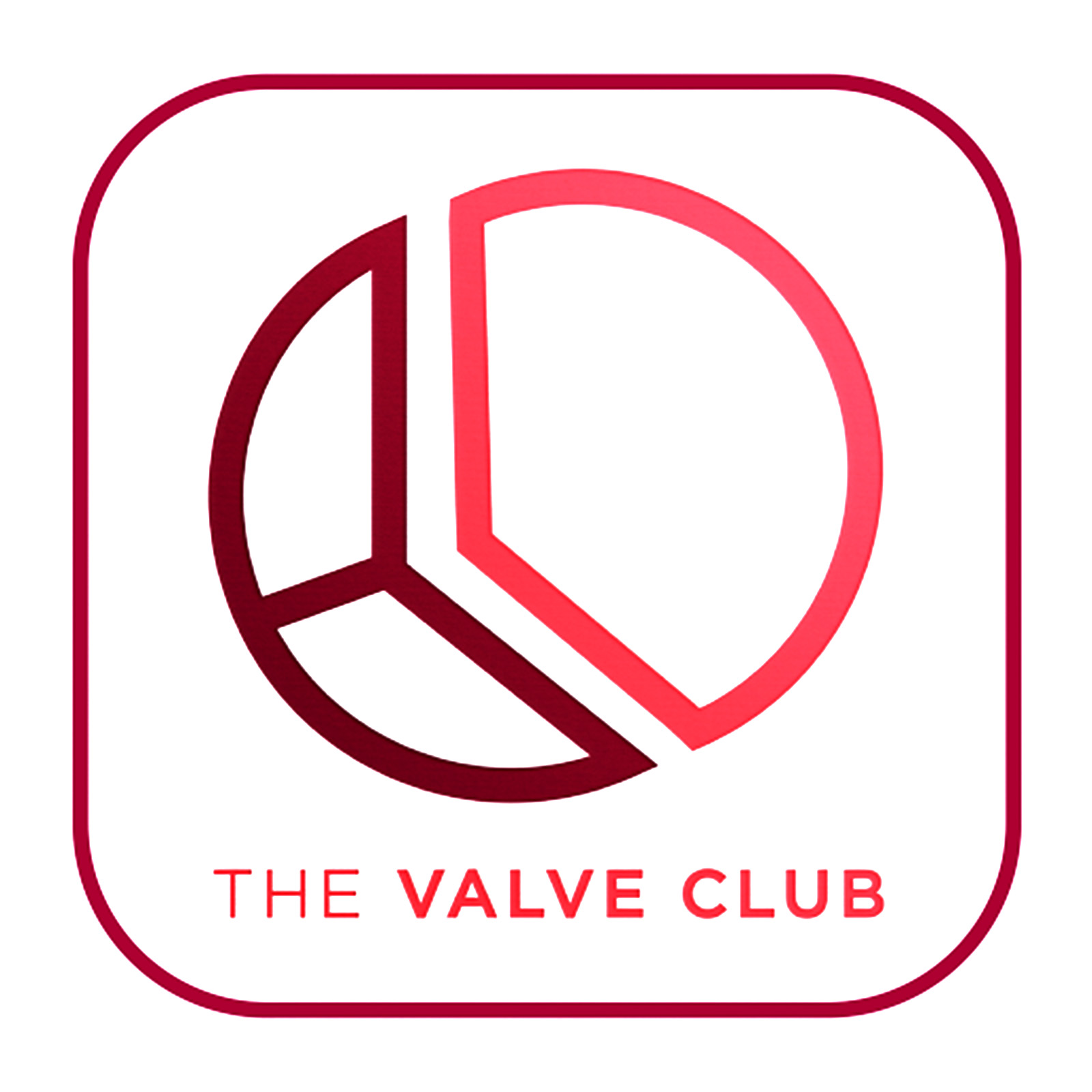 The Valve Club